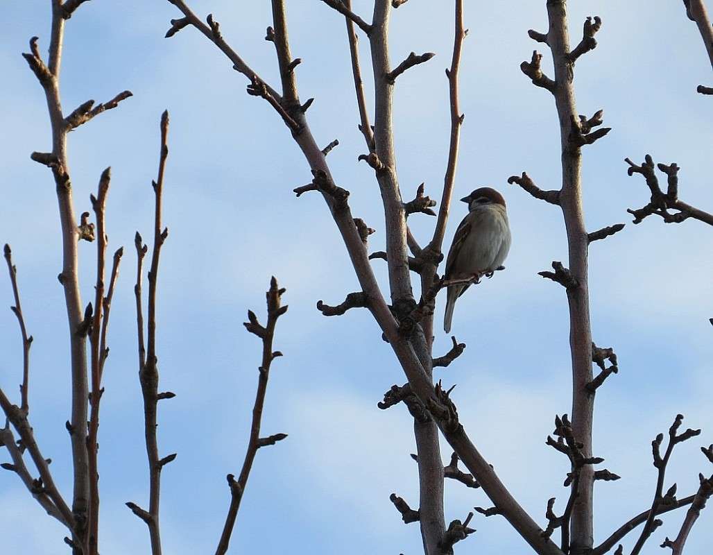 � ������������ ���� ))) ����� Natali  ��������� �� PhotoGeek.ru #�������� ��� #����� ��� ��� ��������� #����� ��������������