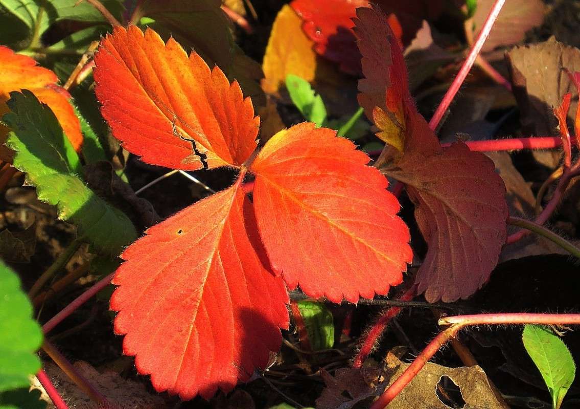 � ����� ������.... ����� Natali  ��������� �� PhotoGeek.ru #����� ��������������