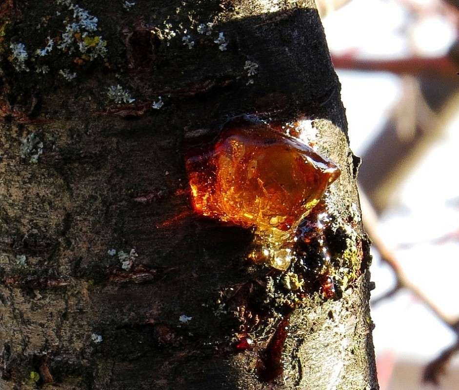 �� ��������� ������ ... ))) ����� Natali  ��������� �� PhotoGeek.ru #����� #����� ��������������