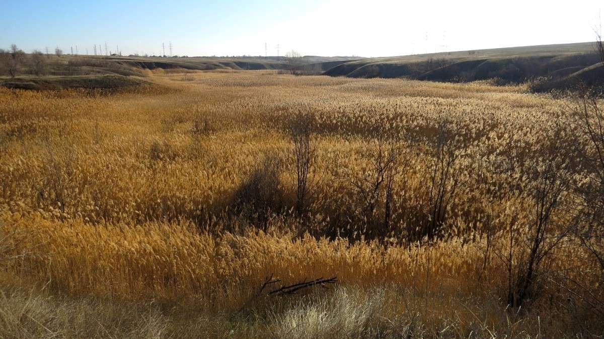 ������ ������ ) ����� Natali  ��������� �� PhotoGeek.ru #������ ��� ������� #����� ��������������