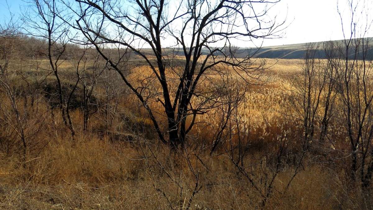 ��������� ������ ����� Natali  ��������� �� PhotoGeek.ru #������ ��� �������