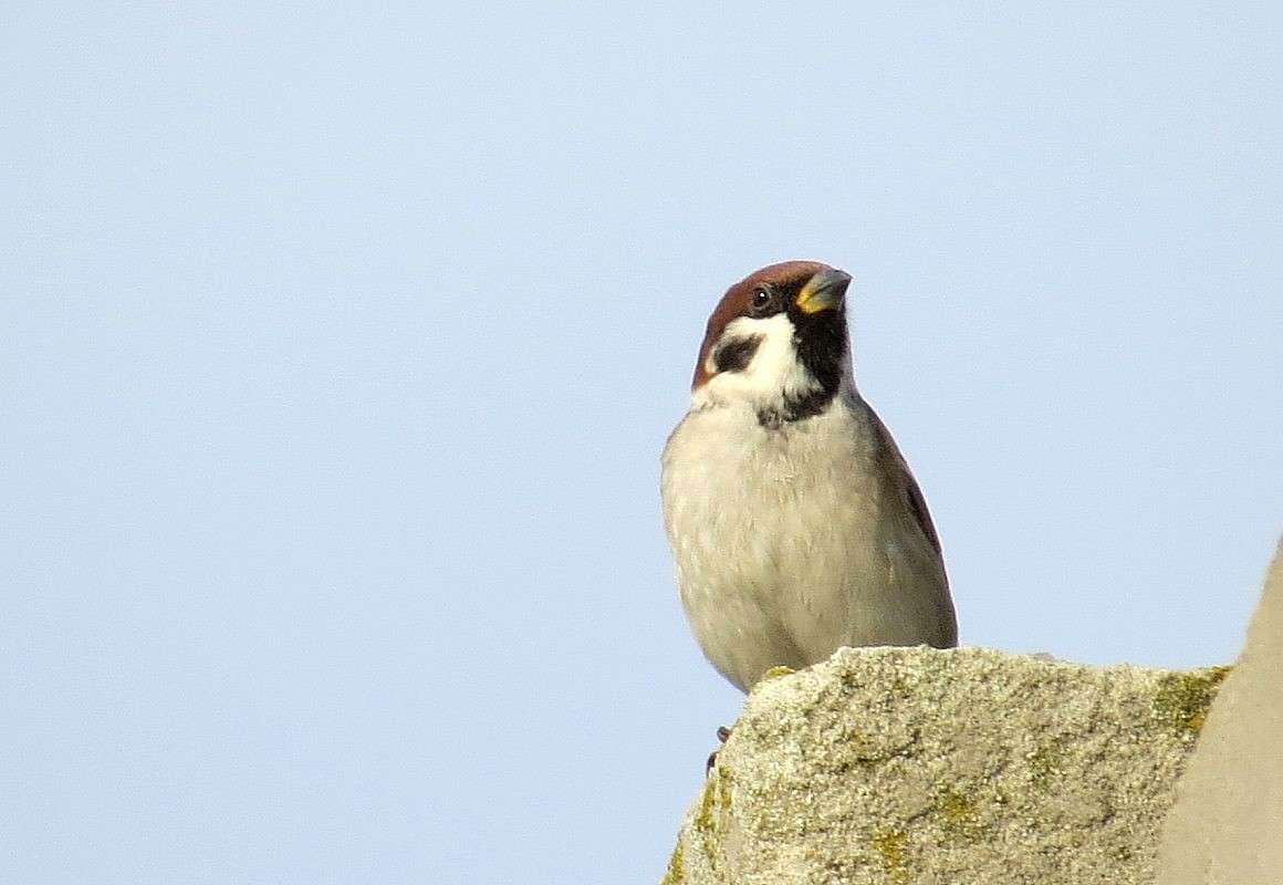 ... ����� Natali  ��������� �� PhotoGeek.ru #�������� ��� #����� ��� ��� ���������