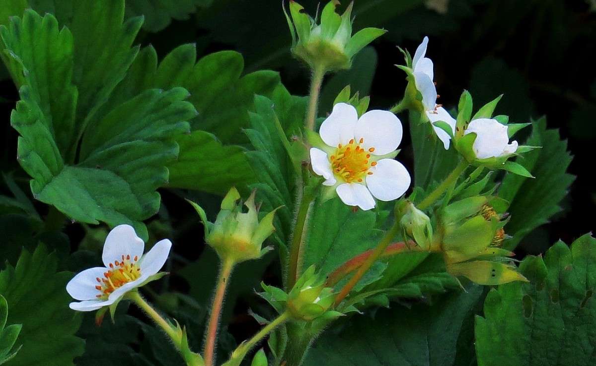 ������ ������������ 2 ����� Natali  ��������� �� PhotoGeek.ru #������ ��� ������� #����� ��������������