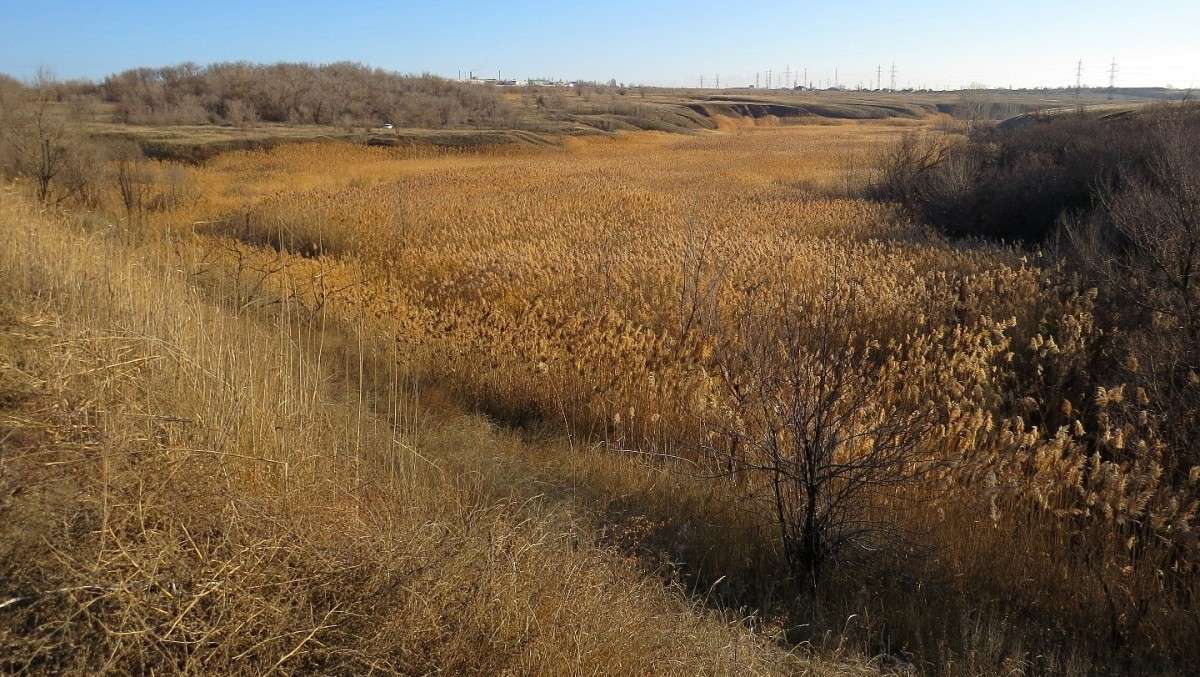 ������ ������ 2 ����� Natali  ��������� �� PhotoGeek.ru #������ ��� �������