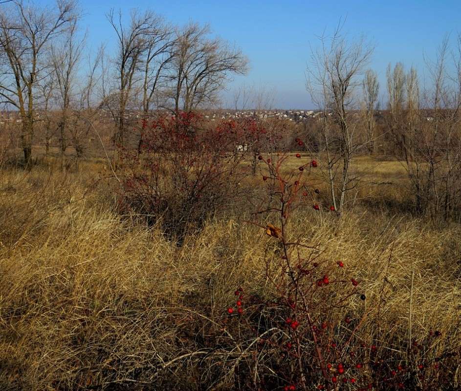 ������ ����� Natali  ��������� �� PhotoGeek.ru #������ ��� �������