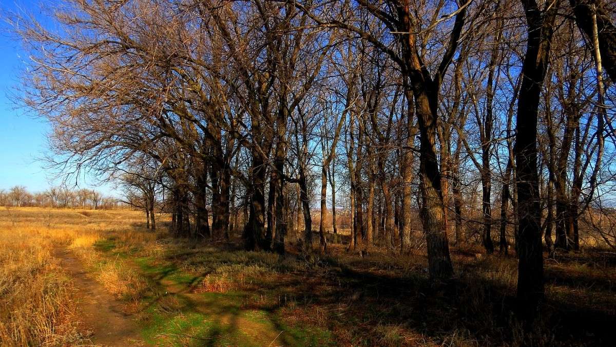 ������ 2 ����� Natali  ��������� �� PhotoGeek.ru #������ ��� �������