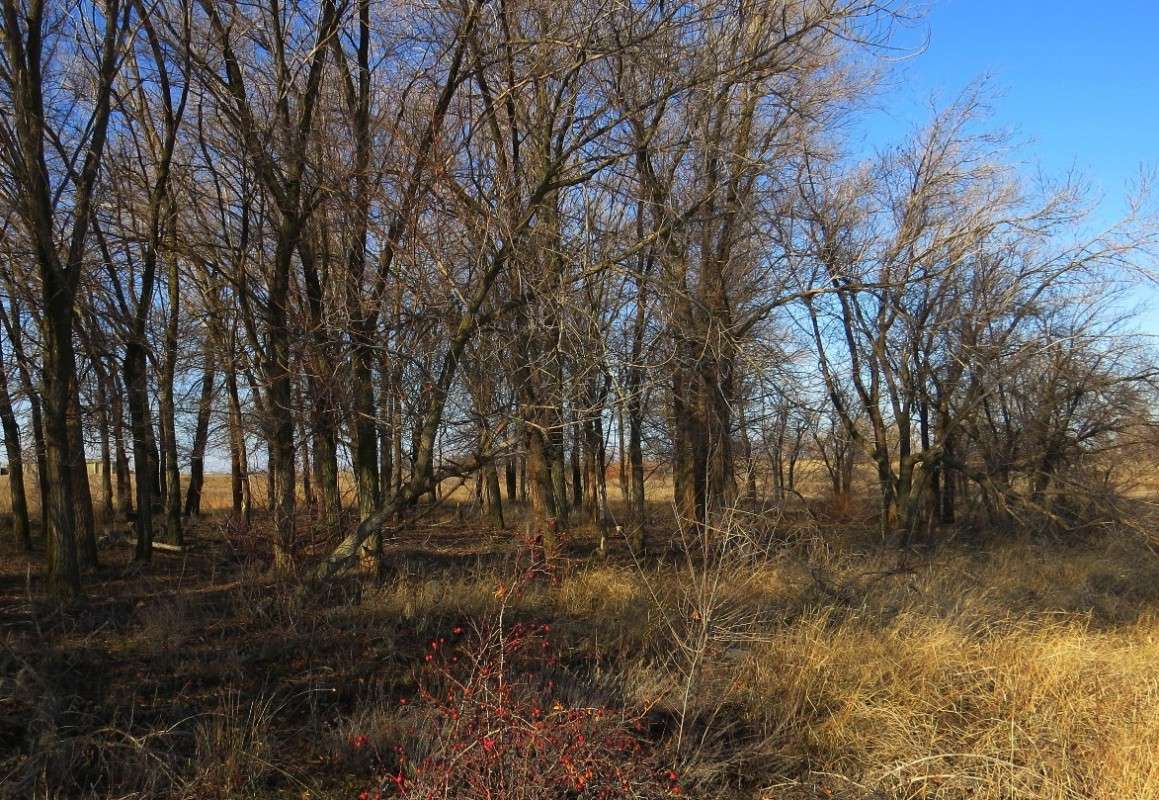 ������ 3 ����� Natali  ��������� �� PhotoGeek.ru #������ ��� �������