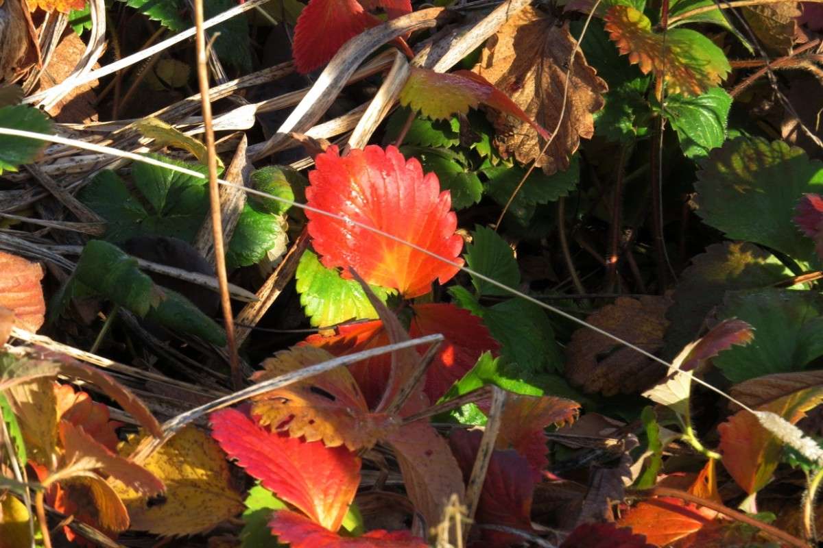 ������� ����  ...) ����� Natali  ��������� �� PhotoGeek.ru #����� ��������������