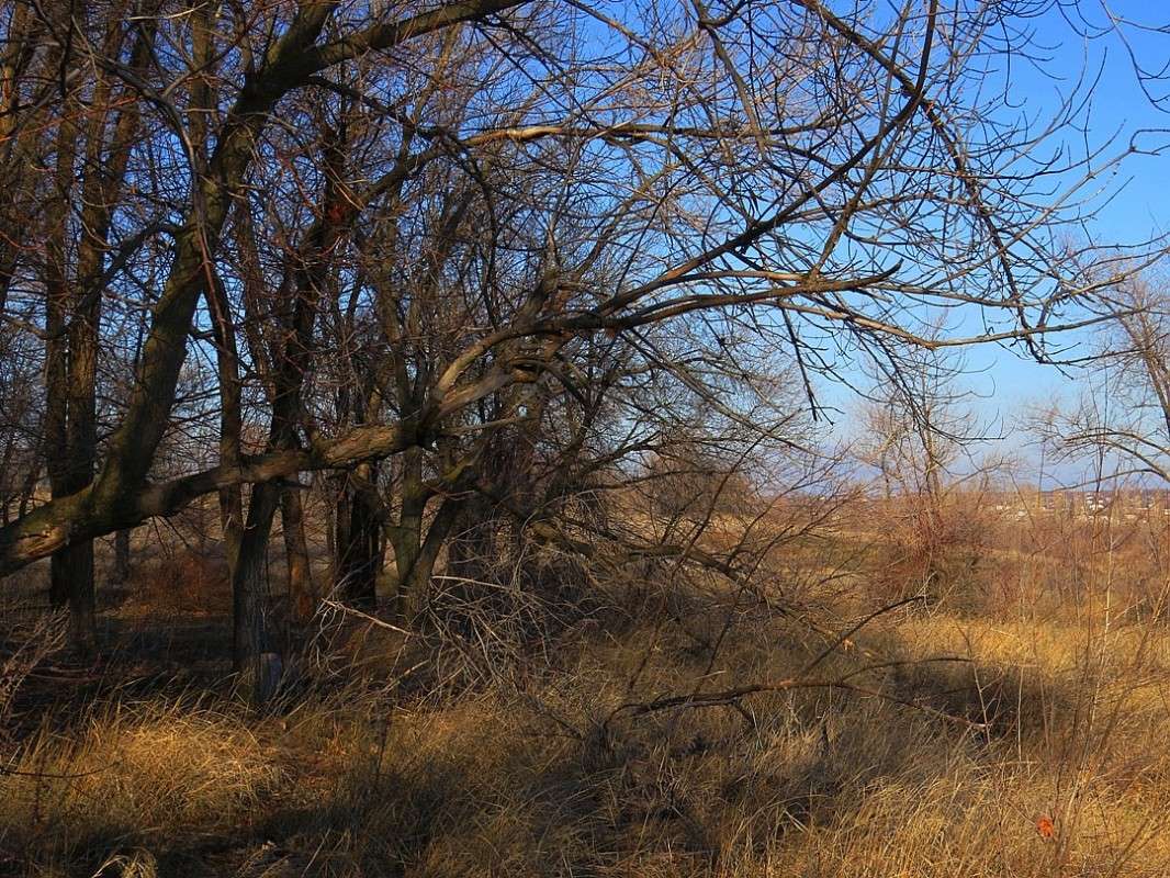 ������ 4 ����� Natali  ��������� �� PhotoGeek.ru #������ ��� �������