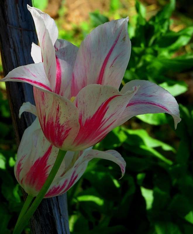 ... ����� Natali  ��������� �� PhotoGeek.ru #����� ��������������