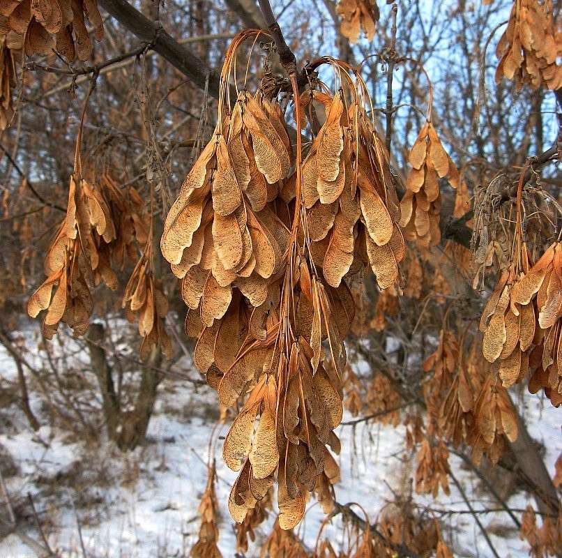 ... ����� Natali  ��������� �� PhotoGeek.ru #����� ��������������