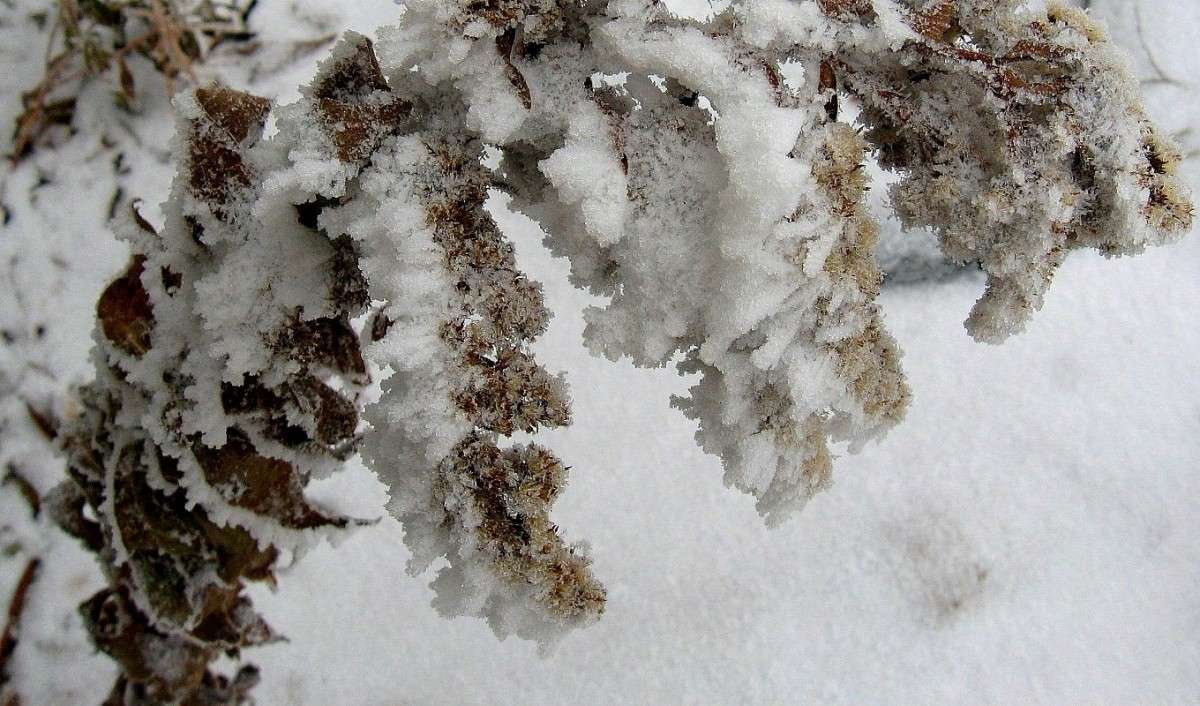 ������ ��������� ) ����� Natali  ��������� �� PhotoGeek.ru #����� ��������������