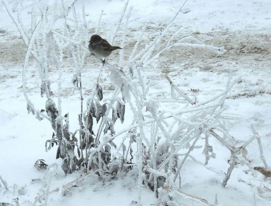 ������ ��������� 2 ����� Natali  ��������� �� PhotoGeek.ru #������ ��� ������� #����� ��������������