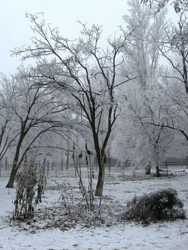 ��������� ����� ) ����� Natali  ��������� �� PhotoGeek.ru #����� #������ ��� ������� #����� ��������������