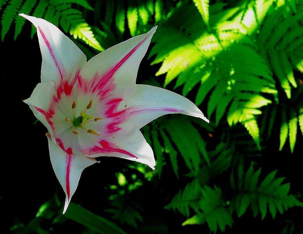 ������� ���� ) ����� Natali  ��������� �� PhotoGeek.ru #����� ��������������