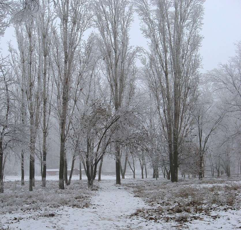 ���� �� ����� 4 ����� Natali  ��������� �� PhotoGeek.ru #������ ��� ������� #����� ��������������