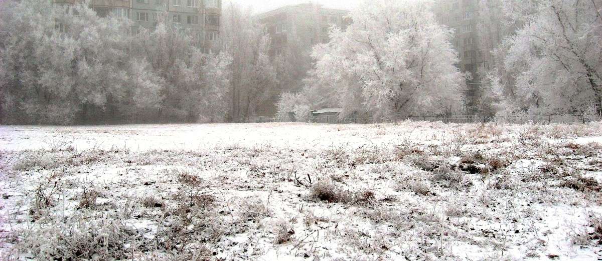 � � ��� �� ����� .... ) ����� Natali  ��������� �� PhotoGeek.ru #����� #��������� ������ #����� �������������� #����� ��������