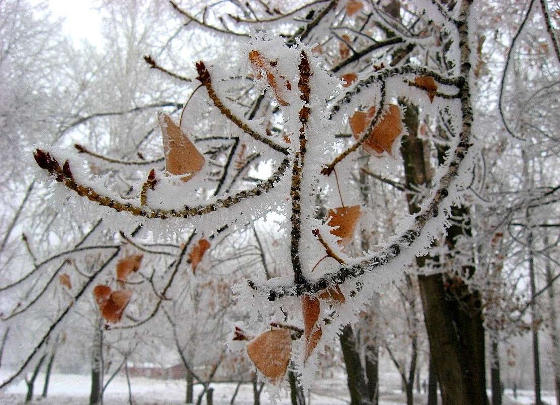 ���� �� ����� 2 ����� Natali  ��������� �� PhotoGeek.ru #������ ��� ������� #����� ��������������