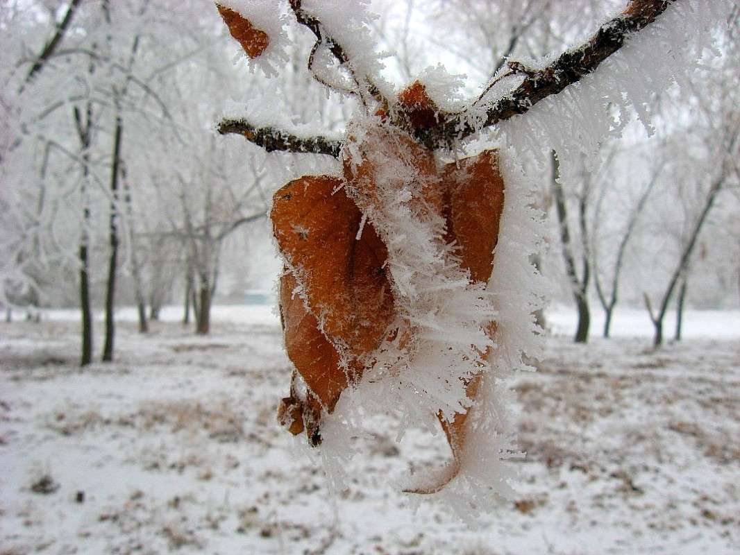 ���� �� ����� 3 ����� Natali  ��������� �� PhotoGeek.ru #����� ��������������