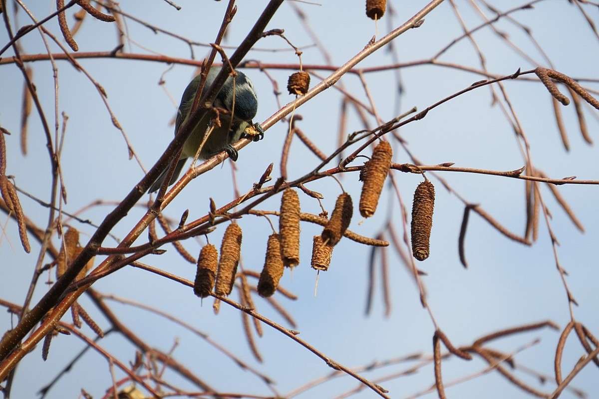 ��� �� ������ ���������� ? ) ����� Natali  ��������� �� PhotoGeek.ru #�������� ��� #����� ��� ��� ��������� #����� ��������������