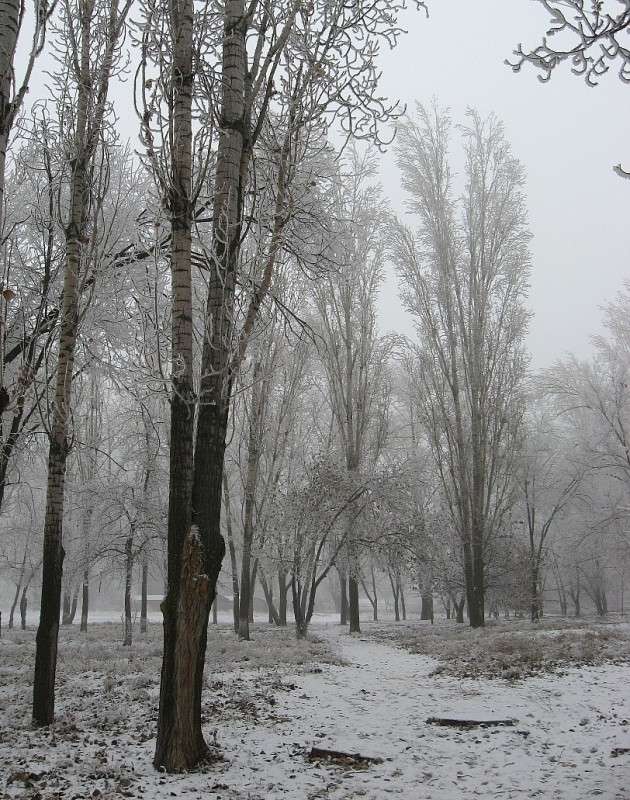 ���� �� ����� 5 ����� Natali  ��������� �� PhotoGeek.ru #������ ��� �������