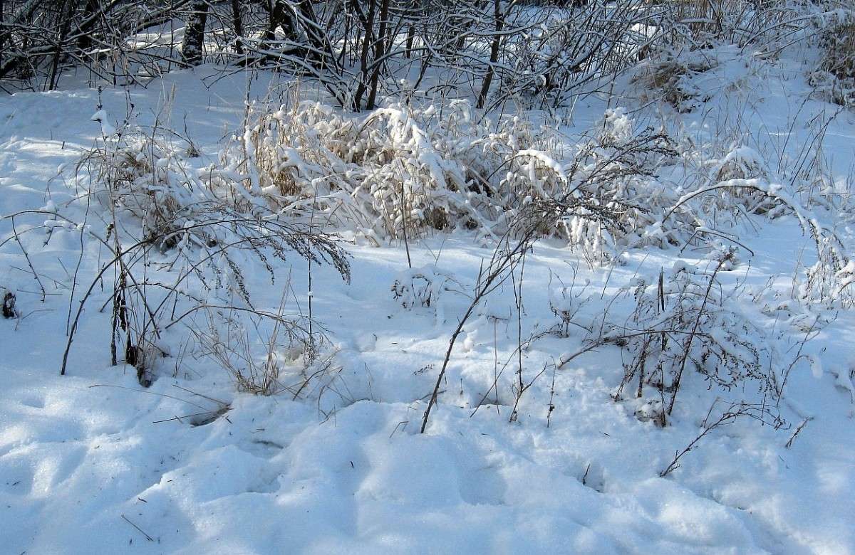 ������, ����������� ... ) ����� Natali  ��������� �� PhotoGeek.ru #������ ��� ������� #����� ��������������