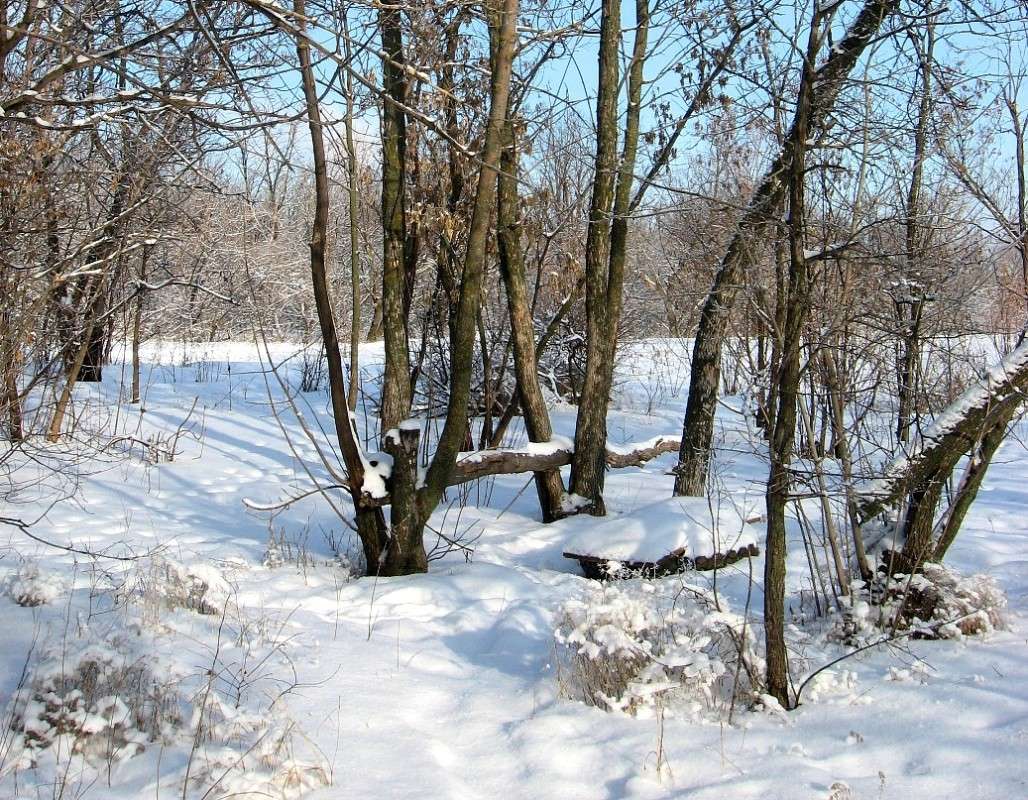 ����� ������ ���������  ))) ����� Natali  ��������� �� PhotoGeek.ru #������ ��� ������� #����� ��������������