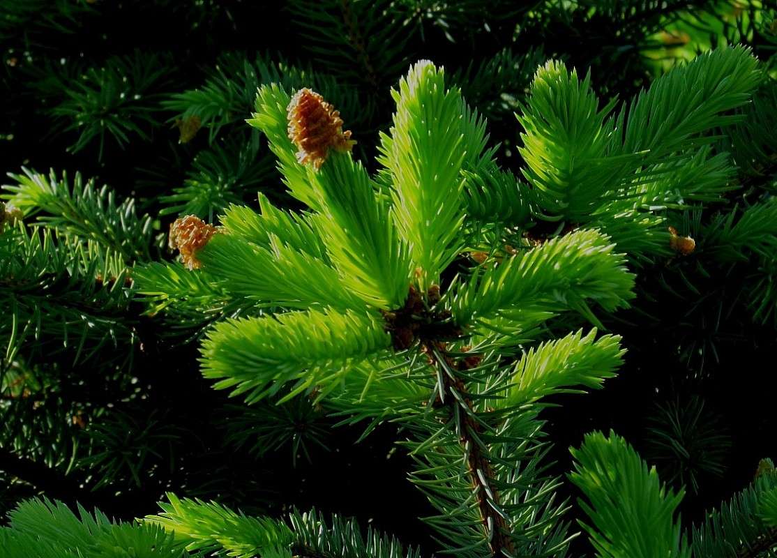 � ��������� �������� )) ����� Natali  ��������� �� PhotoGeek.ru #����� ��������������