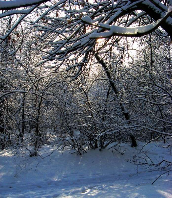 ��� ������ �������� ����� Natali  ��������� �� PhotoGeek.ru #������ ��� ������� #����� ��������������