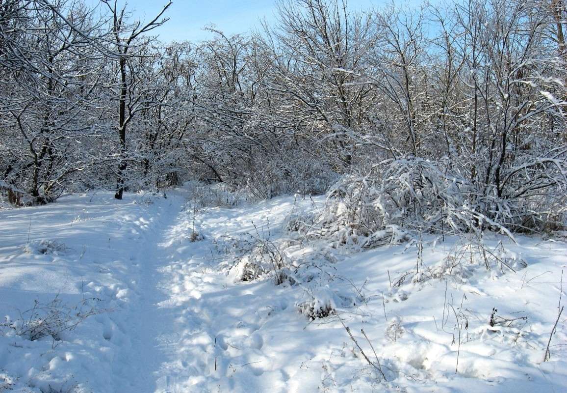 ��� ������ �������� 2 ����� Natali  ��������� �� PhotoGeek.ru #������ ��� ������� #����� ��������������