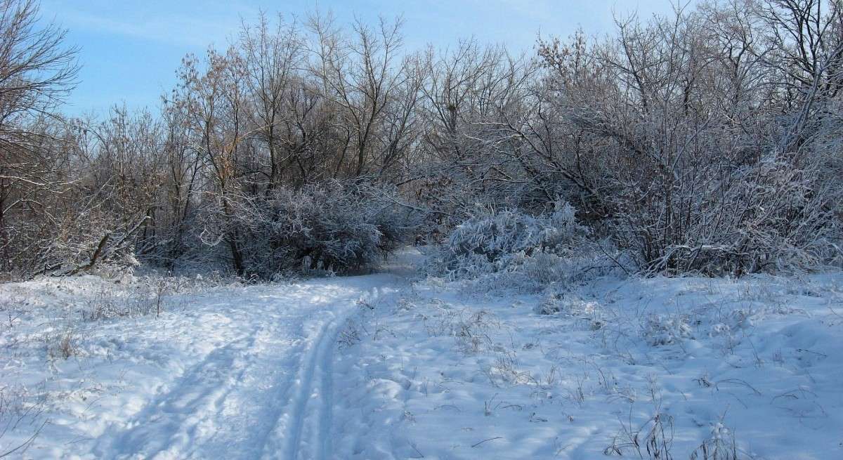 ��� ������ �������� 4 ����� Natali  ��������� �� PhotoGeek.ru #������ ��� ������� #����� ��������������