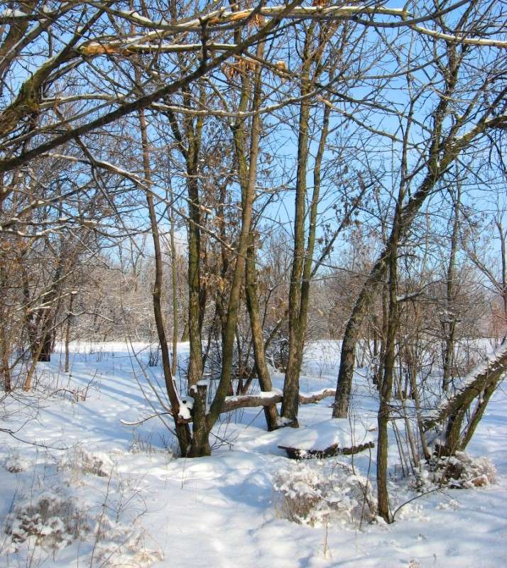 ����� ������ ��������� 2 ����� Natali  ��������� �� PhotoGeek.ru #������ ��� ������� #����� ��������������