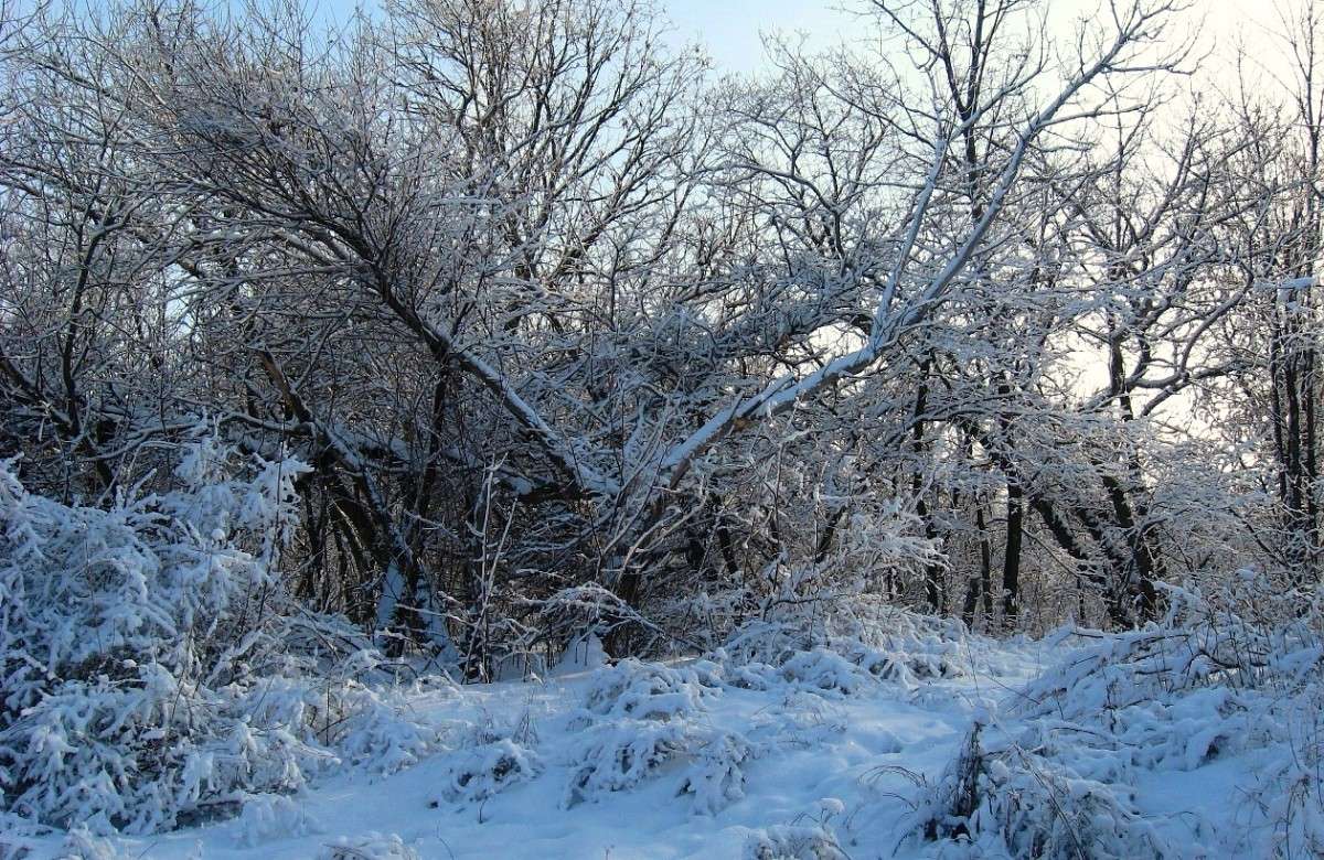 ��� ������ �������� 5 ����� Natali  ��������� �� PhotoGeek.ru #������ ��� ������� #����� ��������������