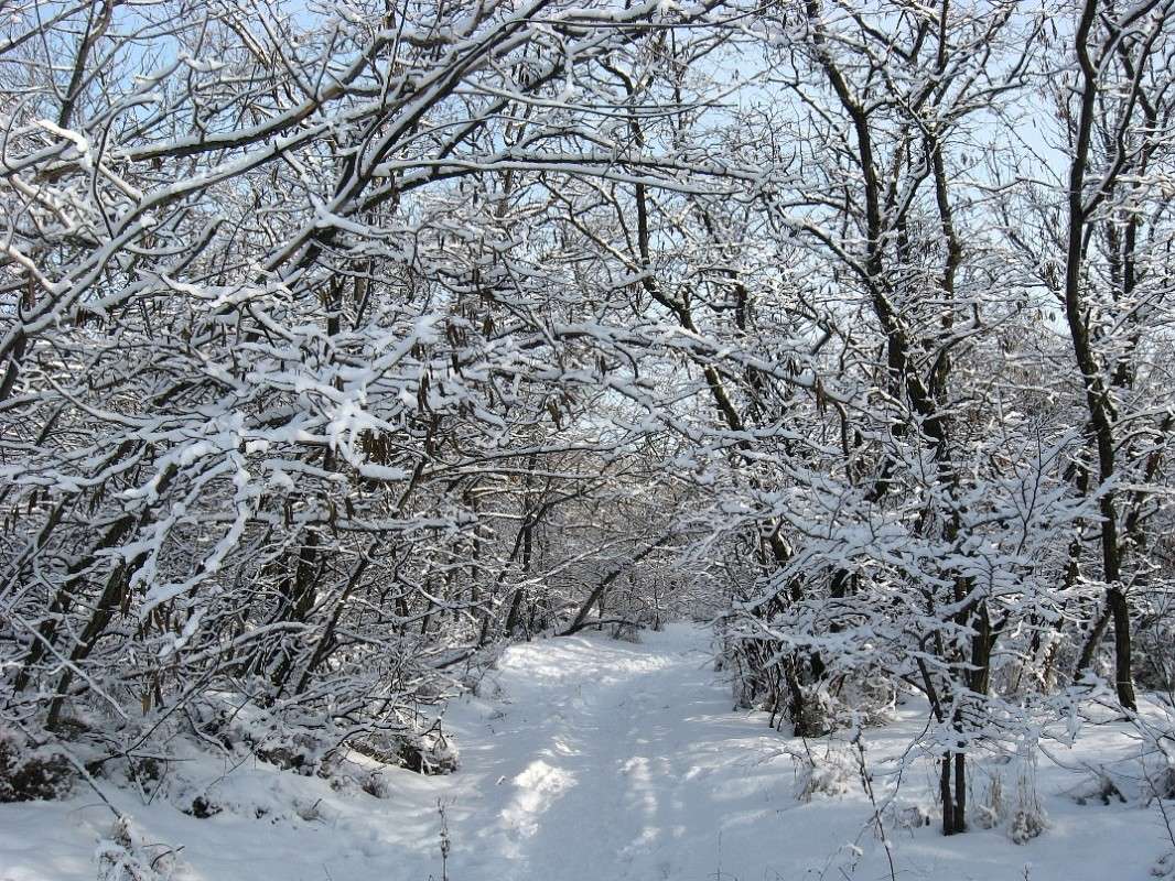 ��� ������ �������� 7 ����� Natali  ��������� �� PhotoGeek.ru #������ ��� ������� #����� ��������������