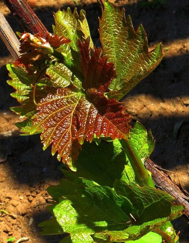 �������� ������������ ����� Natali  ��������� �� PhotoGeek.ru #����� ��������������