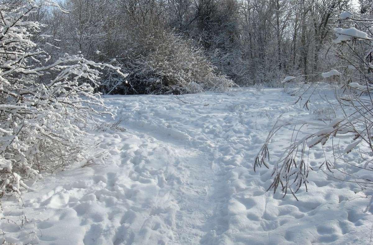 ��� ������ �������� 6 ����� Natali  ��������� �� PhotoGeek.ru #������ ��� ������� #����� ��������������