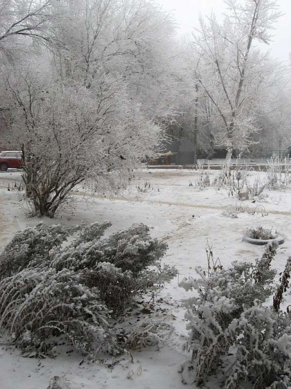 ��� ������ �������� 8 ����� Natali  ��������� �� PhotoGeek.ru #������ ��� ������� #����� ��������������