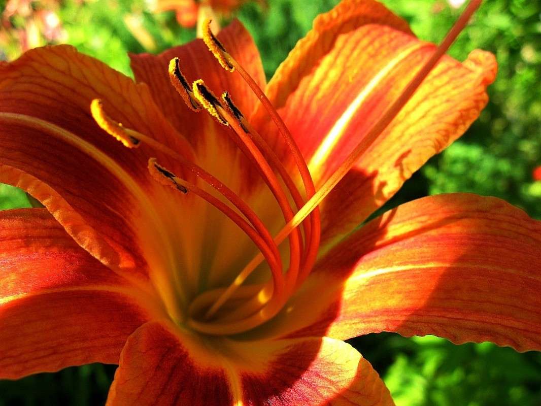 �� �� �����, �� �� ����� ... ))) ����� Natali  ��������� �� PhotoGeek.ru #����� ��������������