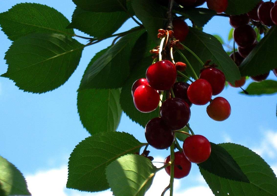 � ���� ))) ����� Natali  ��������� �� PhotoGeek.ru #������ ��� ������� #����� ��������������