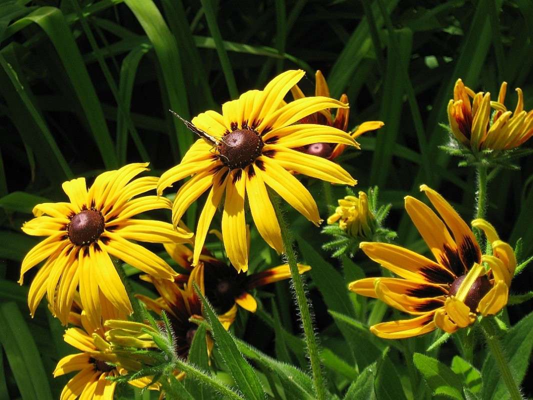 ��� ���� 2 ����� Natali  ��������� �� PhotoGeek.ru #������ ��� ������� #����� ��������������