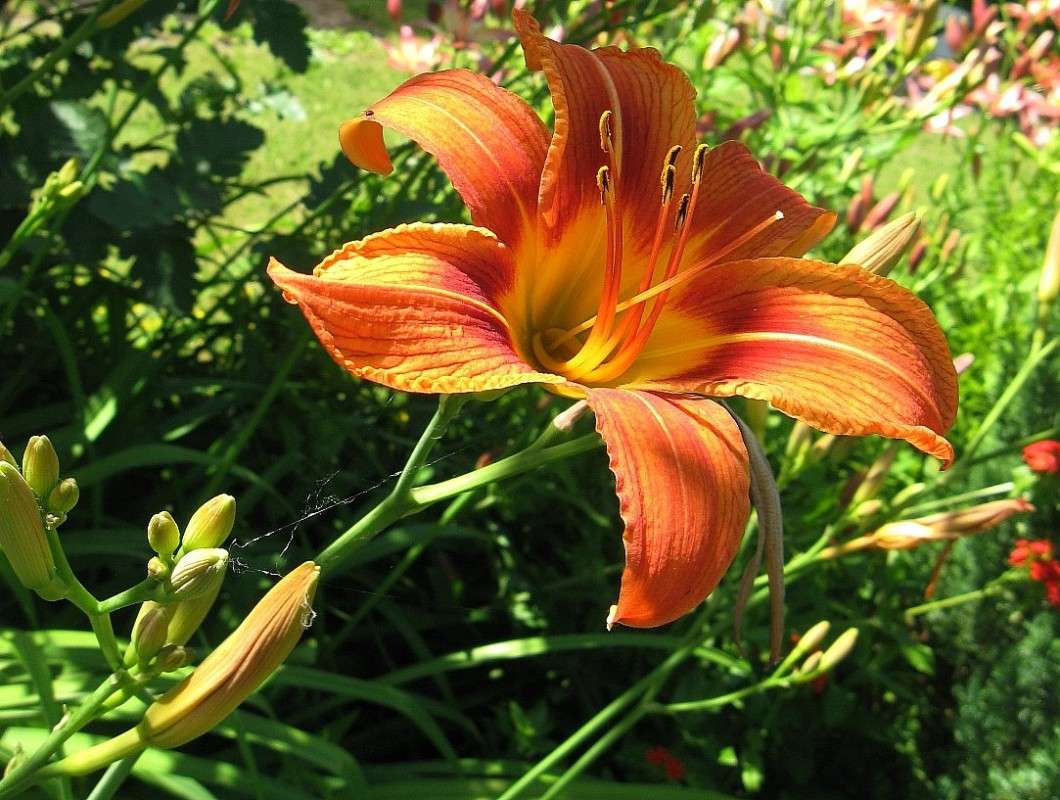 ��������� ����� ... ) ...2 ����� Natali  ��������� �� PhotoGeek.ru #������ ��� ������� #����� ��������������