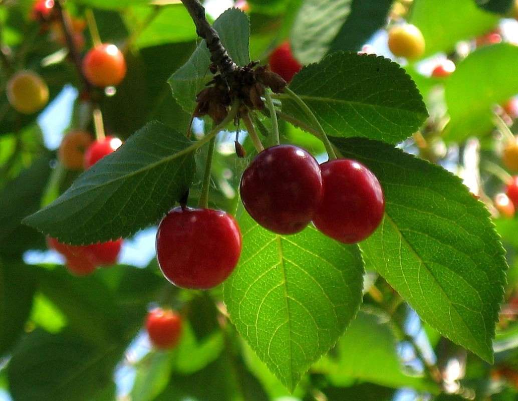 ��������� ����� ... ) ...4 ����� Natali  ��������� �� PhotoGeek.ru #������ ��� ������� #����� ��������������