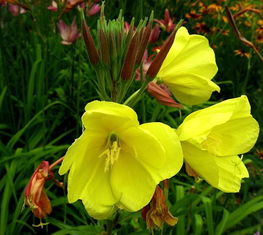 ... ����� Natali  ��������� �� PhotoGeek.ru #������ ��� ������� #����� ��������������