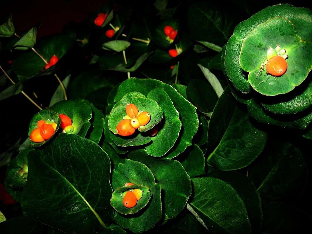 ... ����� Natali  ��������� �� PhotoGeek.ru #������ ��� ������� #����� ��������������