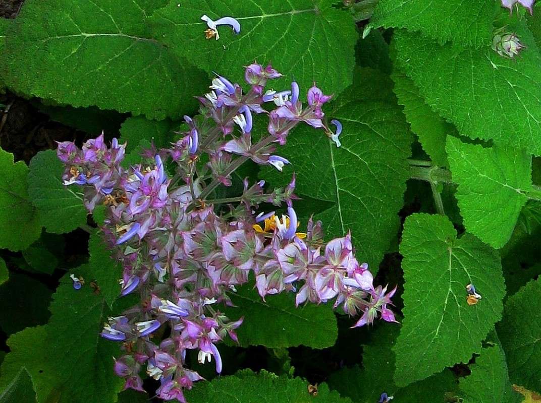 ... ����� Natali  ��������� �� PhotoGeek.ru #������ ��� ������� #����� ��������������