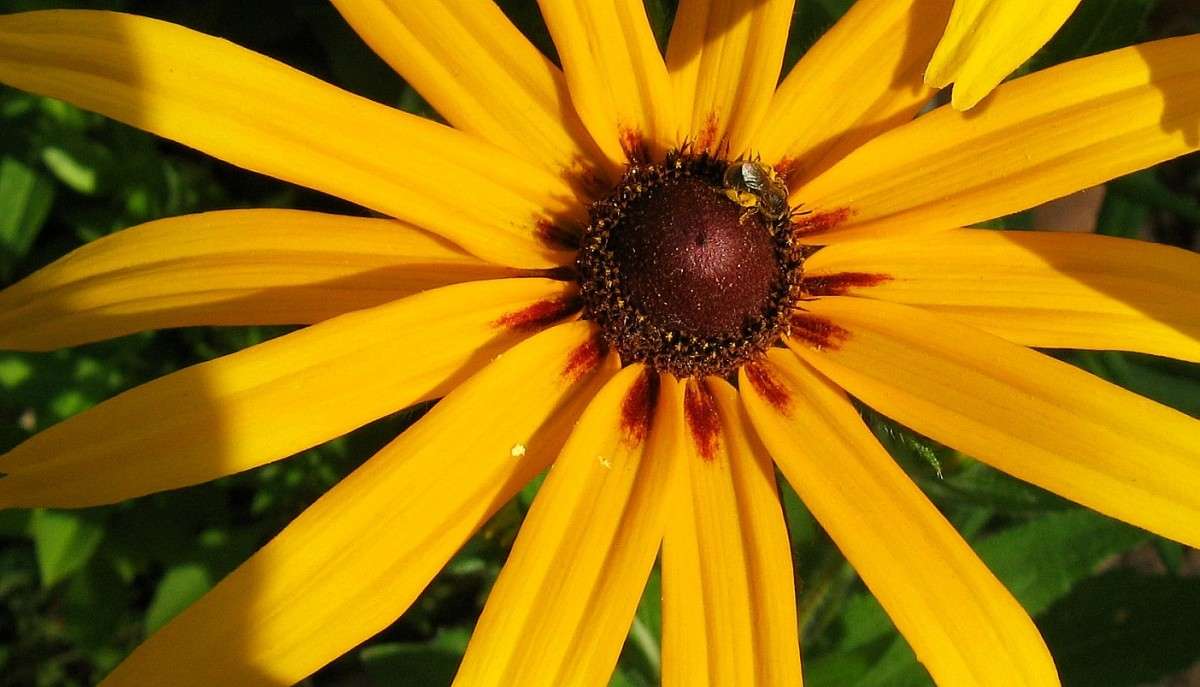 ��� ���� ������� ...5 ����� Natali  ��������� �� PhotoGeek.ru #������ ��� ������� #����� ��������������