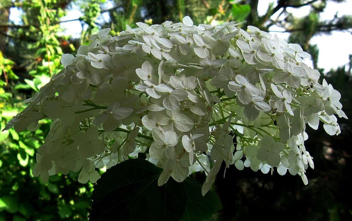 ��� ���� ������� ... ����� Natali  ��������� �� PhotoGeek.ru #������ ��� ������� #����� ��������������