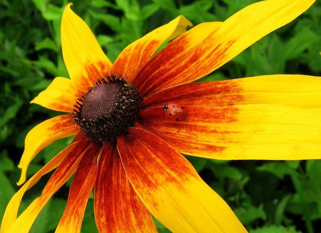 ��� ���� ������� ...2 ����� Natali  ��������� �� PhotoGeek.ru #������ ��� ������� #����� ��������������