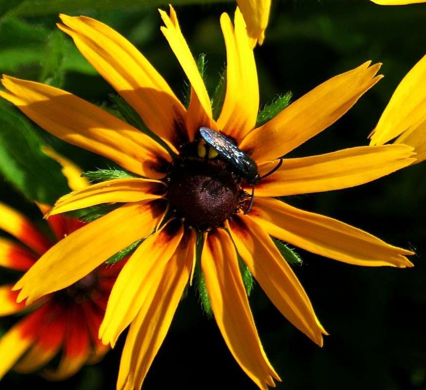 ��� ���� ������� ...4 ����� Natali  ��������� �� PhotoGeek.ru #������ ��� ������� #����� ��������������