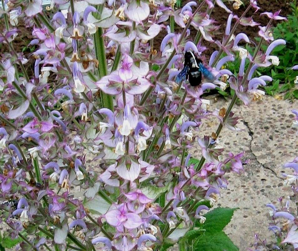 ��� ���� ������� ...3 ����� Natali  ��������� �� PhotoGeek.ru #������ ��� ������� #����� ��������������